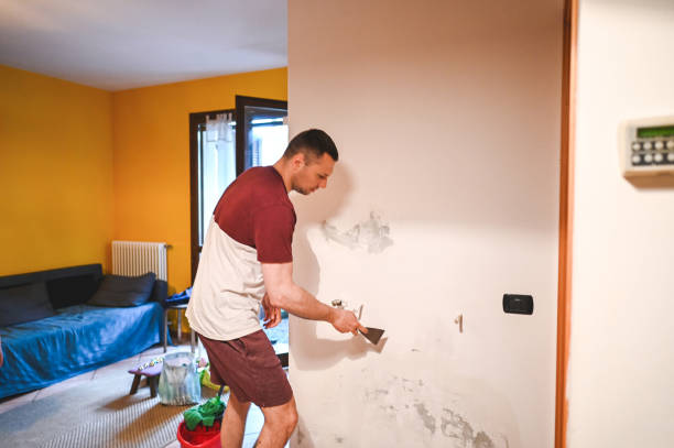 Best Local Mold Removal Service  in Baxter Estates, NY