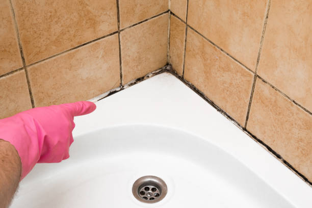 Best Crawl Space Mold Removal  in Baxter Estates, NY